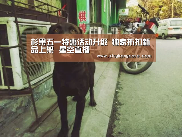 杉果五一特惠活动升级 独家折扣新品上架-星空直播(图1) 星空赛程