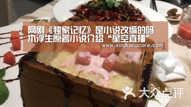 网剧《独家记忆》是小说改编的吗 木浮生原著小说介绍“星空直播”(图2) 星空官网