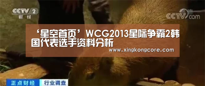 ‘星空首页’WCG2013星际争霸2韩国代表选手资料分析(图4) 星空官网
