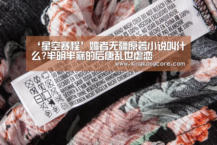 ‘星空赛程’媚者无疆原著小说叫什么?半明半寐的后唐乱世虐恋(图1) 星空直播